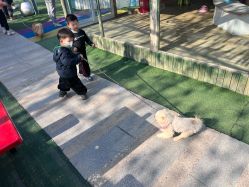 -萌宠亲子动物乐园(槐房万达店)