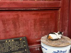 -长春观