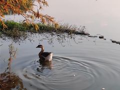-浙江农林大学(东湖校区)