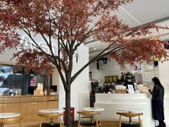 -艾薯夫妇Aysh(福田星河COCOPark店)