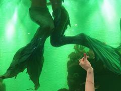 -瑞德姆美人鱼海底演艺主题餐厅(亚龙湾店)