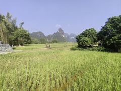 -明仕田园