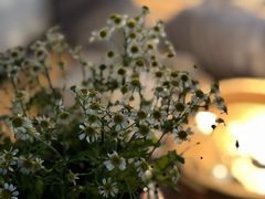 -MOJ coffee(瓯海泽雅水碓坑店)