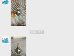 店主每天定时发视频汇报狗狗情况-宠物之家Pets Home 宠物寄养酒店