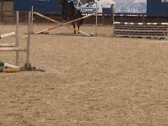 -松声马术俱乐部