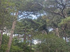 -黄山光明顶山庄
