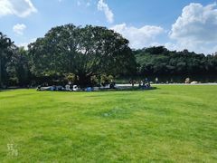 -深圳仙湖植物园