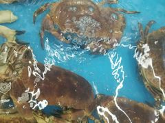 -日照大牌檔•小船海鲜(万平口店)