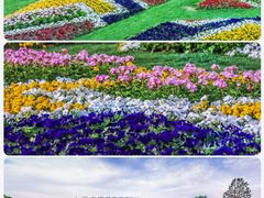-上海辰山植物园
