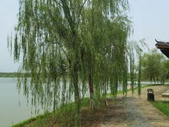 -杏花村文化旅游区