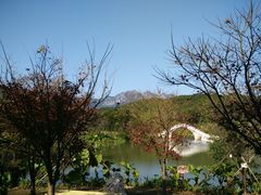 -田野绿世界