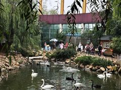 -临沂动植物园