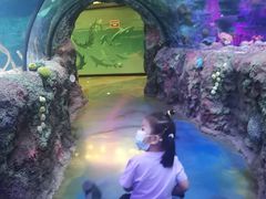 -沈阳海洋探索中心