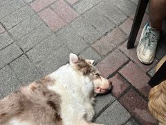 -豆舞咖啡(民乐路店)