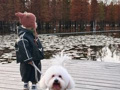 -白鹭湾湿地公园