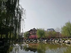 -西安青龙寺遗址景区