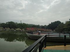-东莞植物园