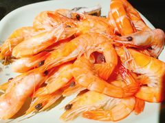 -九寸钉自助·炭火烤肉烧烤(欧乐时尚广场店)