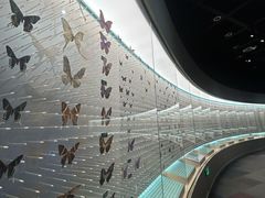 -陕西自然博物馆