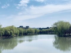 -华东政法大学(松江校区)