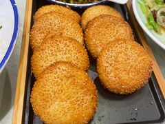 -邵年鸽(杨庄店)
