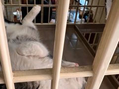 -情忆草原涮肉馆