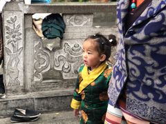 -罗布林卡