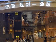 -一朵菌·野生菌探索家火锅(南亚店)