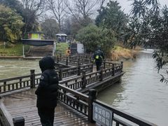 -水绘园