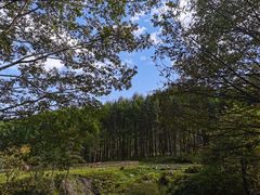 -硗碛藏寨·神木垒景区
