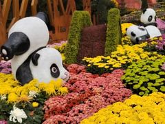 -南山植物园