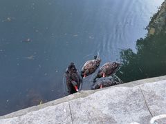 -茵特拉根酒店·西餐厅