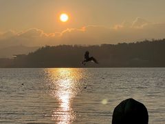 -洱海月湿地公园