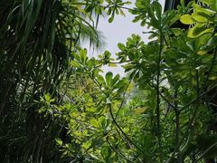 -亚洲大陆最南端