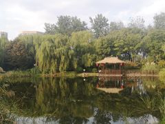 -澹台湖公园