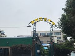 -曲阳花鸟市场(曲阳路店)