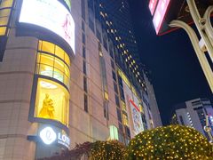 -乐天免税店(明洞店)