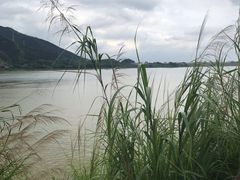 -羚羊峡古栈道森林公园