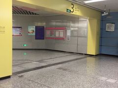 -大龙山(地铁站)