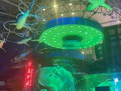 -烟台海昌鲸鲨海洋公园