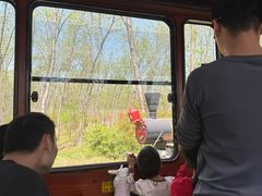 -合肥滨湖国家森林公园