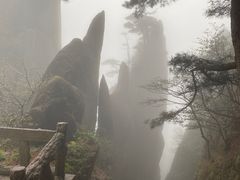 -黄山风景区