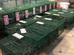 -荔城生鲜盛宴(番禺旗舰店)
