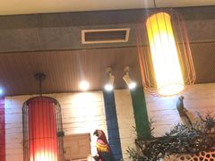 -俏媳妇火锅(宽窄巷子店)