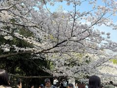 -杭州少年儿童公园