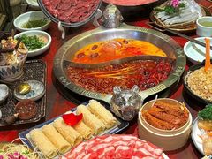 -袁老四重庆老火锅(桐梓坡店)