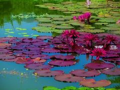 -国家植物园南园