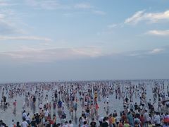 -奉贤海滩