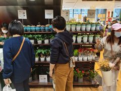 -优衣库(深圳万象天地旗舰店)