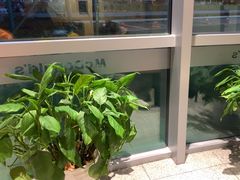 -麦当劳(北苑秋实路店)